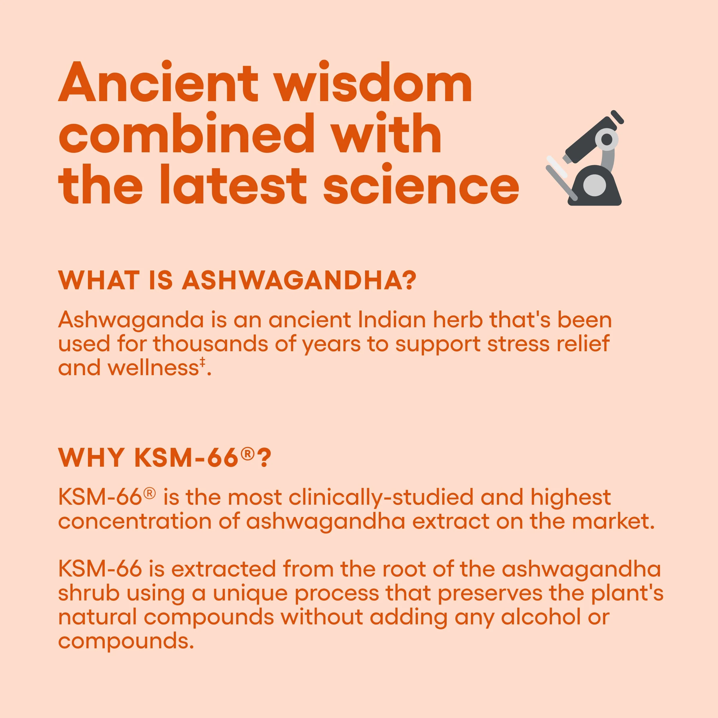 KSM-66 Ashwagandha - Image 5