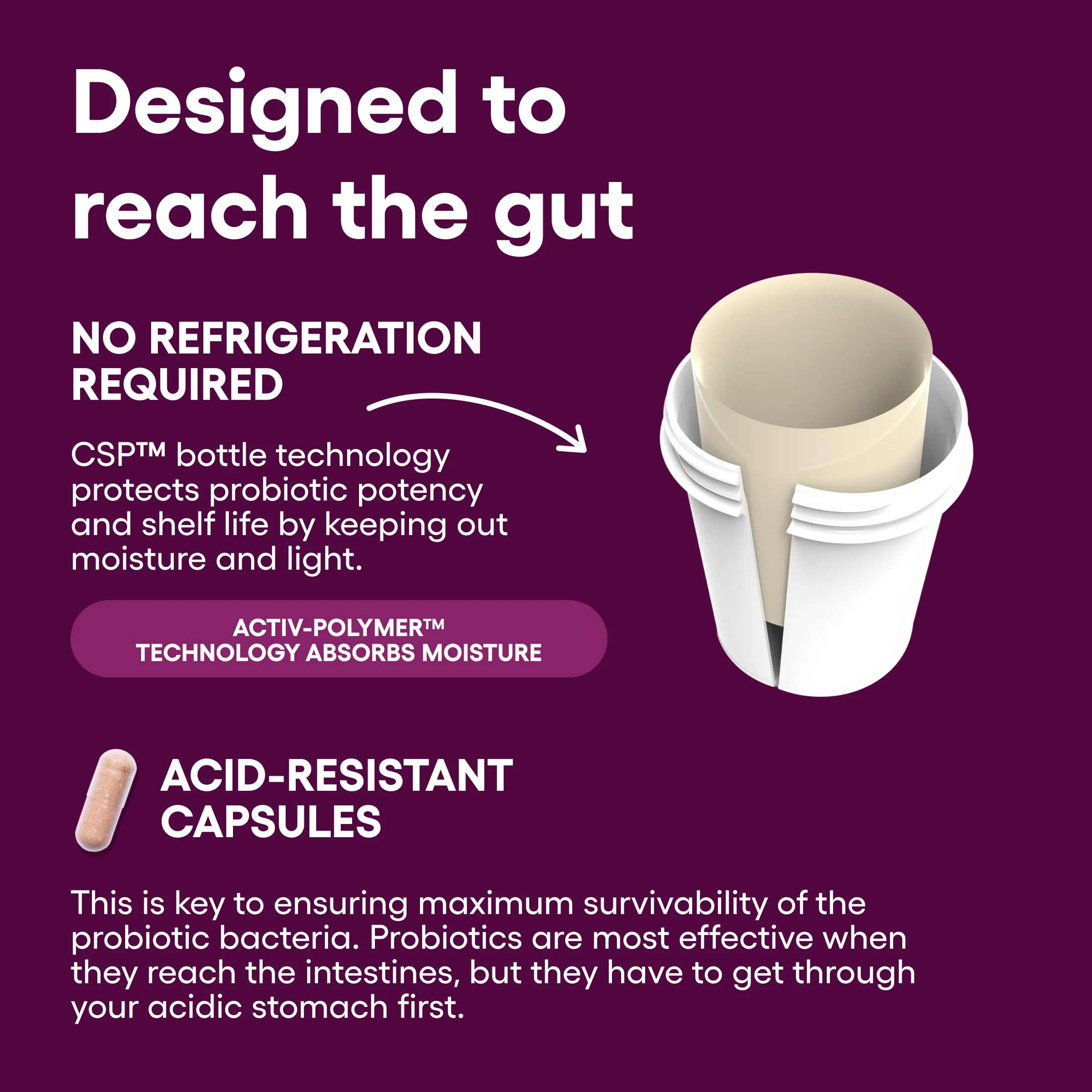 Vaginal Probiotic - Image 7