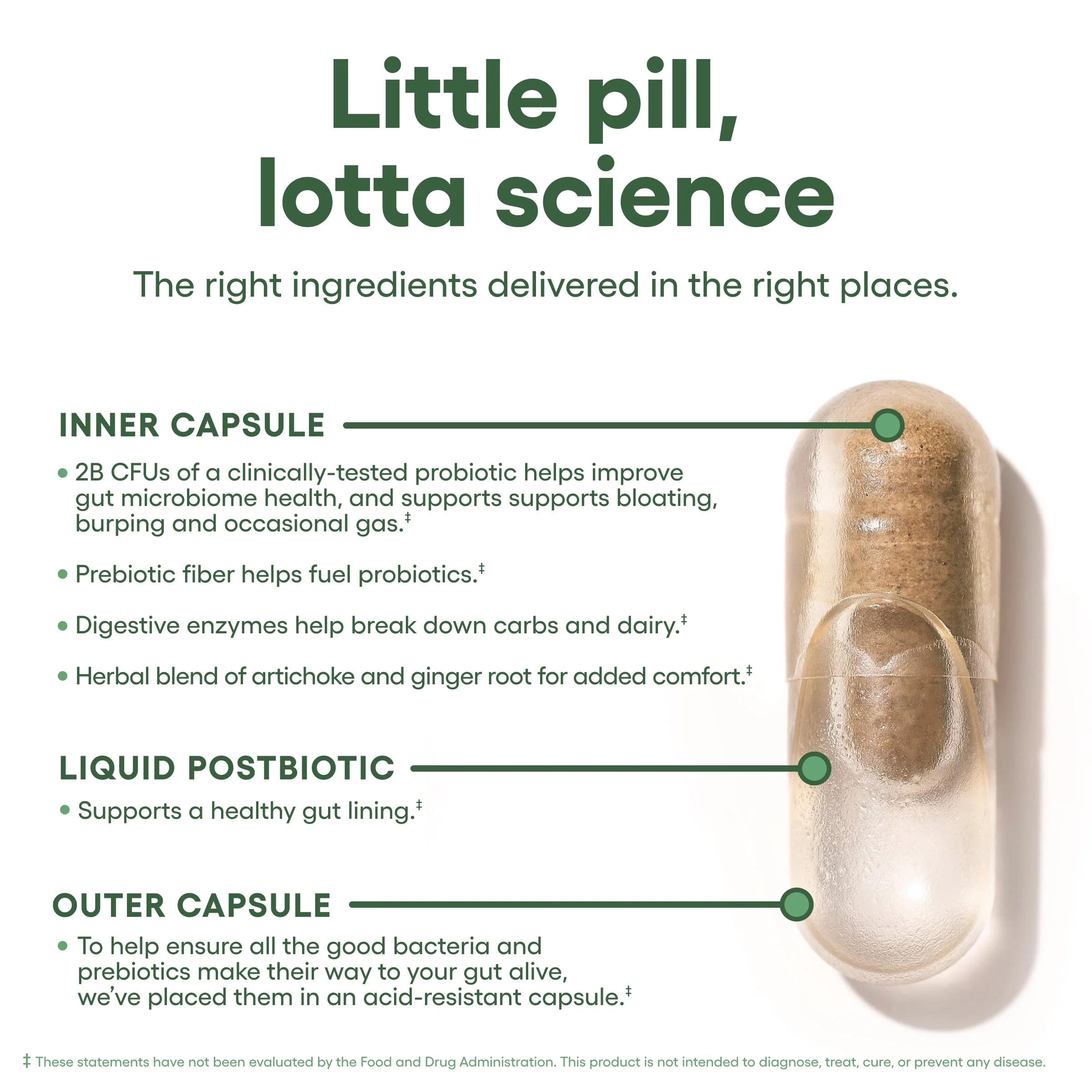 Bloat + Gas Probiotic - Image 4