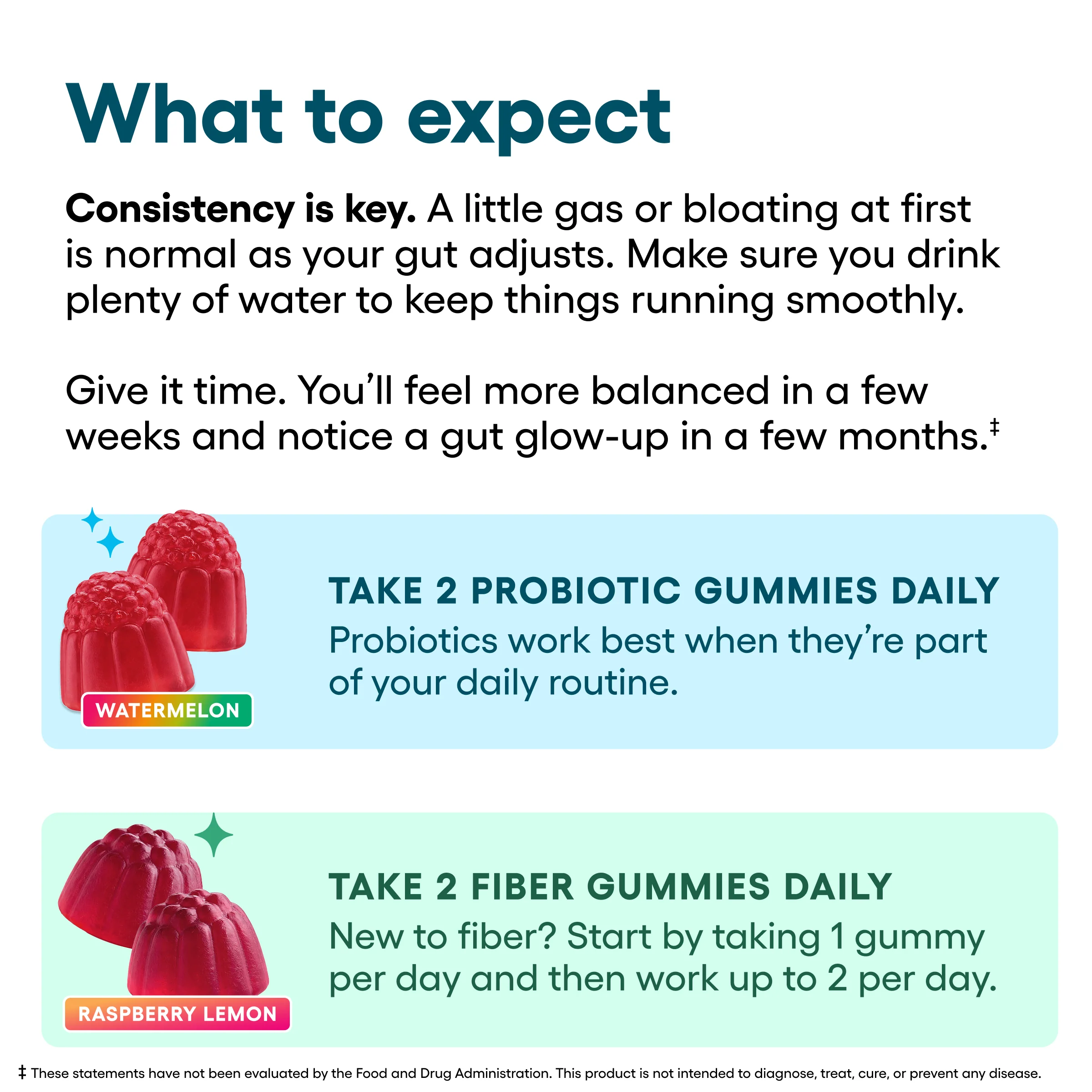 Gut Gummy Bundle - Image 5