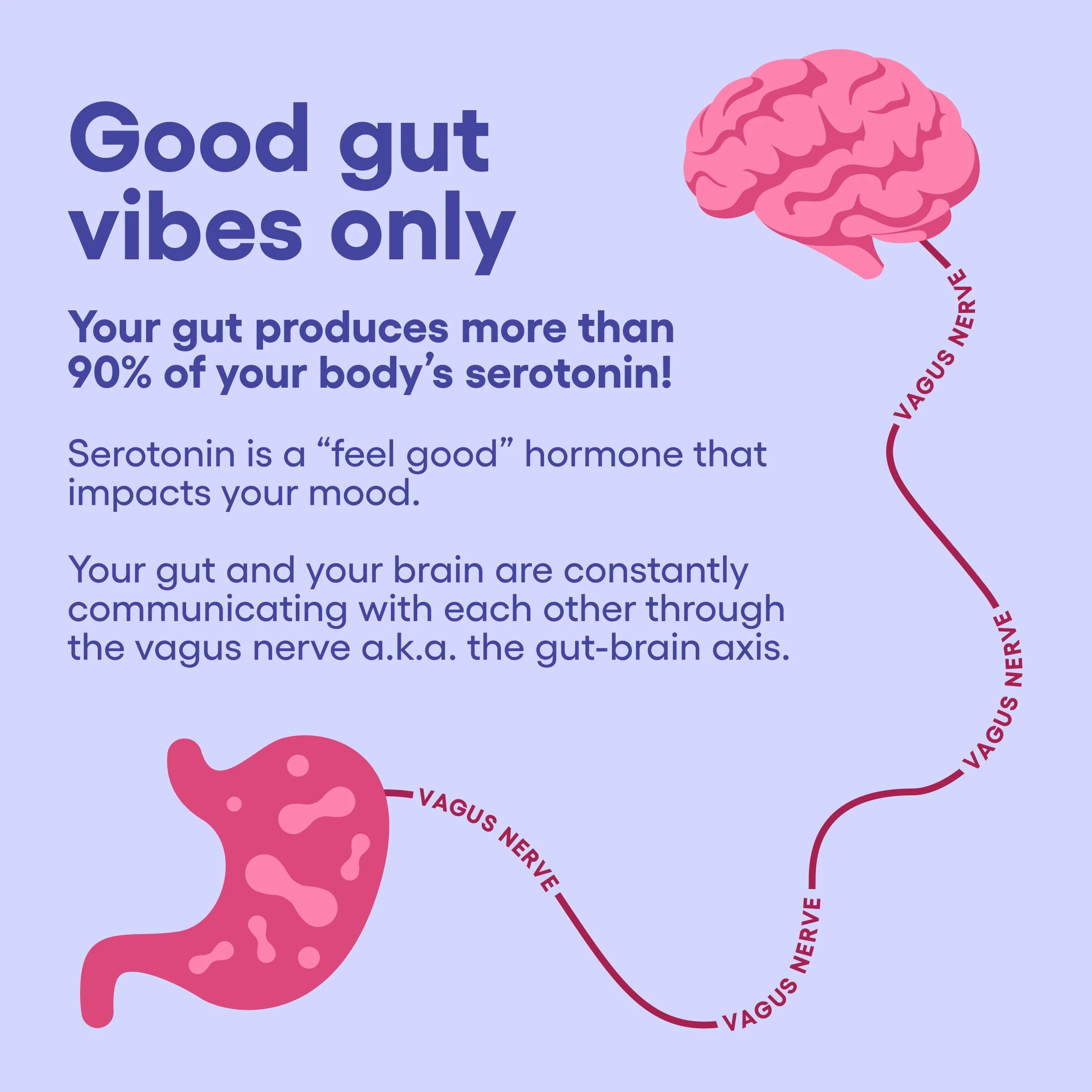 Mood Support Probiotic - Image 5