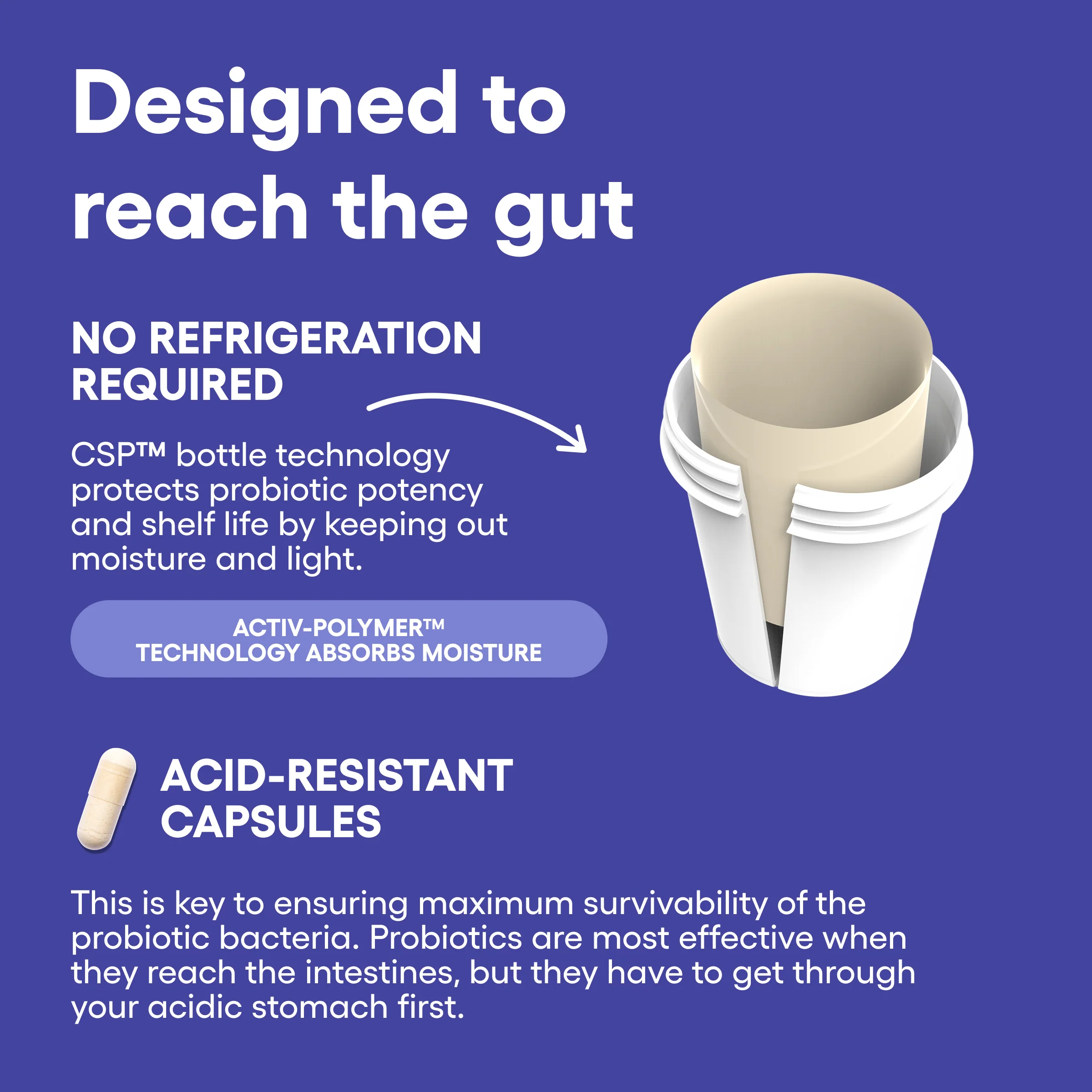 Mood Support Probiotic - Image 6