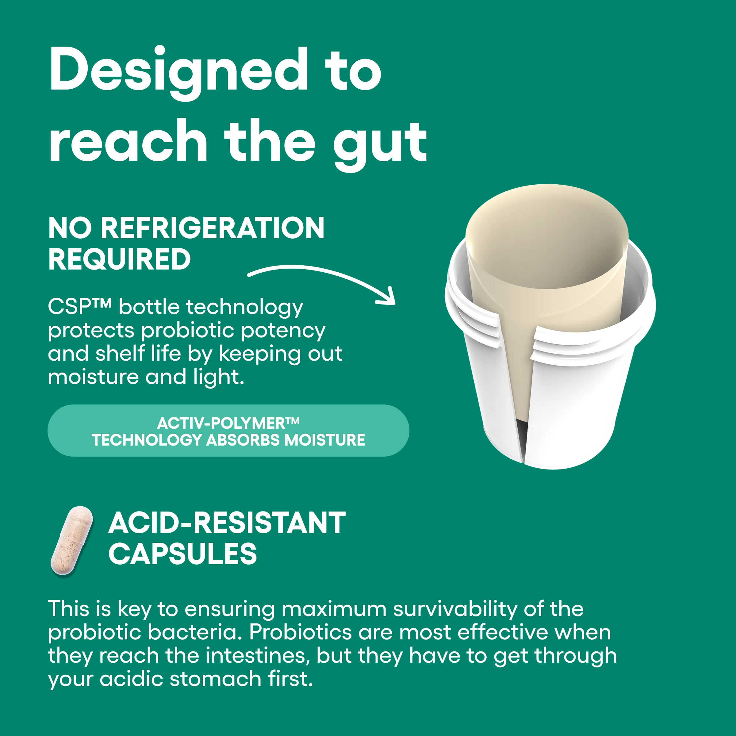 Thin 30 Probiotic - Image 6