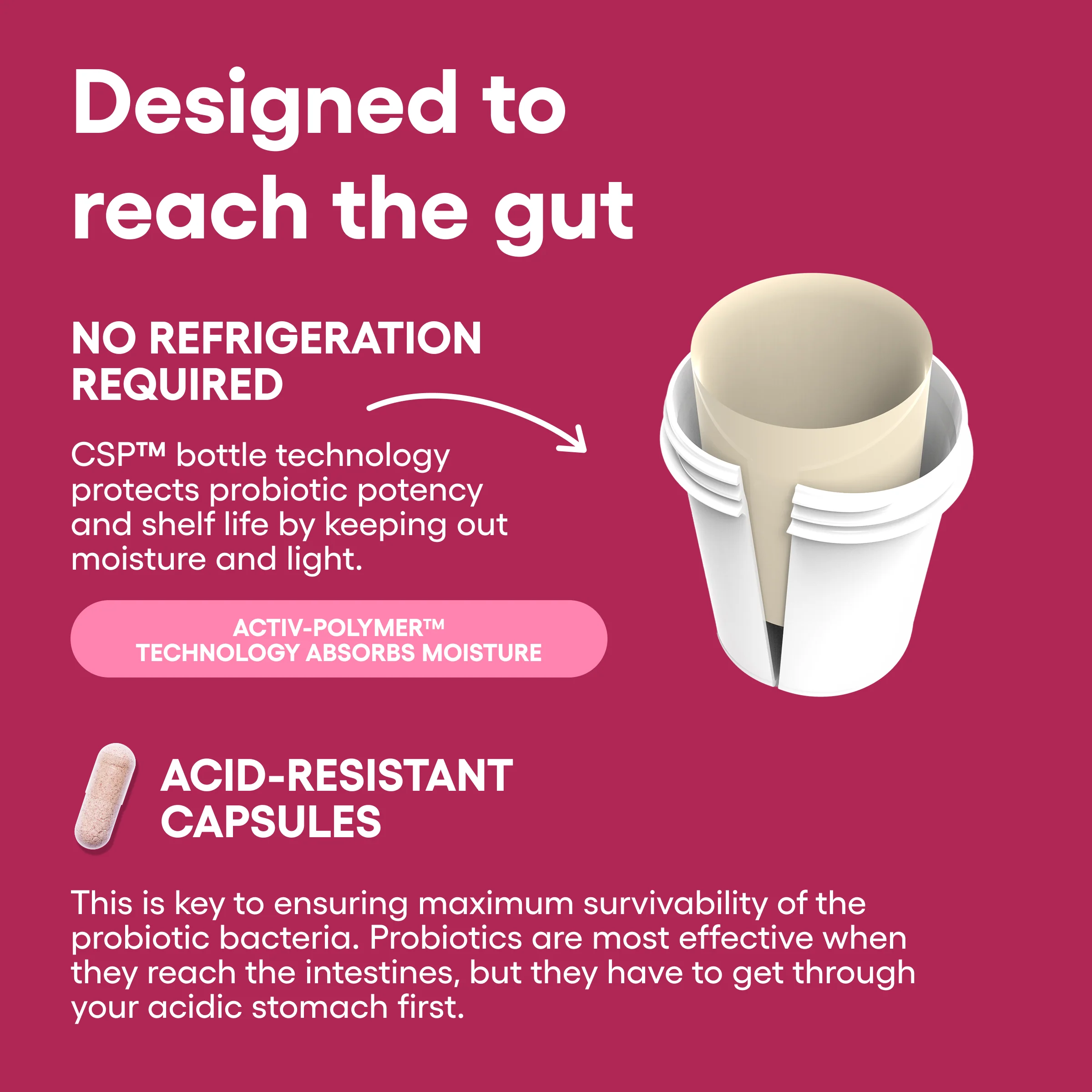 Women's Probiotic - Image 5